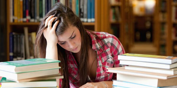 Introduction LearnPress – LMS plugin